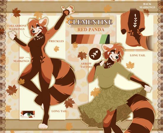 Fullbody, halfbody and half body back